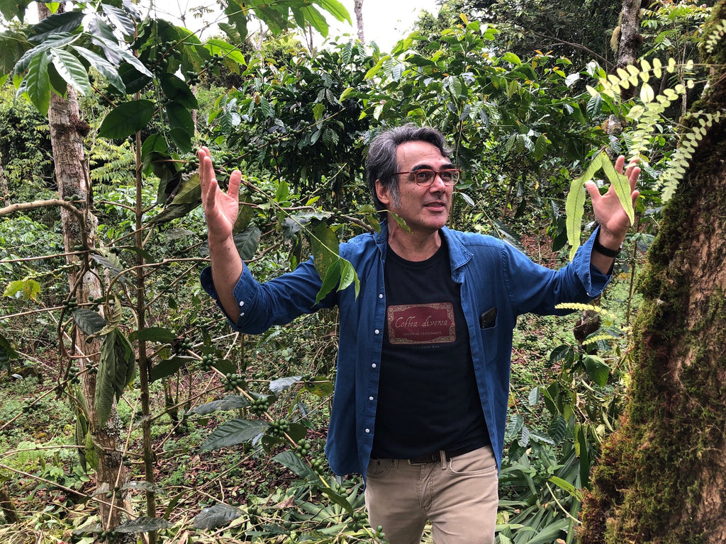 Preserving The World’s Oldest Coffee: Interview with Gonzalo Hernandez